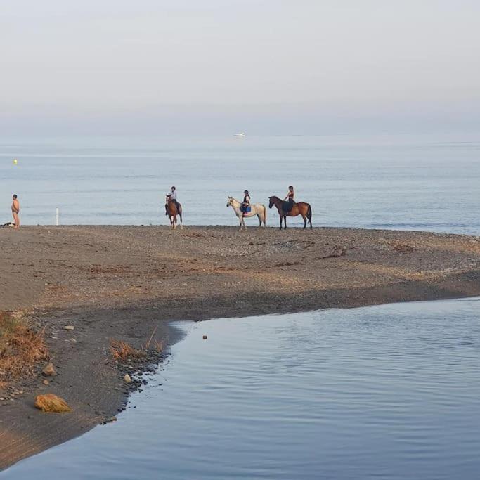 Beachfront Escape Resort Estepona Luaran gambar
